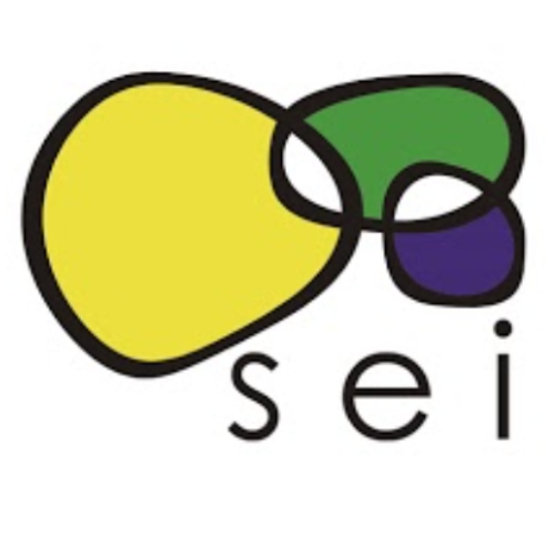 Logo de la entidadAsociación SEI Elkartea